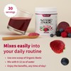 Snap Supplements - USDA Organic Beet Root Powder - 3-in-1