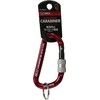 SK11 Lock Carabiner BN