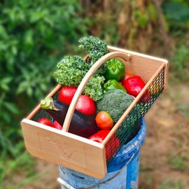 deceptia 16 Quart Large Garden Harvest Basket, Garden Baskets for Gathering Vegetables, Flowers, and Fruits, Natural Smooth Durable Wooden Frame and Coated Mesh, 19" L x 11" W x 5 1/2"