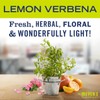Mrs Meyer Jabón Manos Líquido Limón Verbena 370 Aroma Cítrico