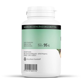 Flohsamen (Psyllium) - 380 mg - 200 Kapseln