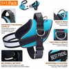 Haapaw Essential Dog Harness, No Pull Pet Vest with 3