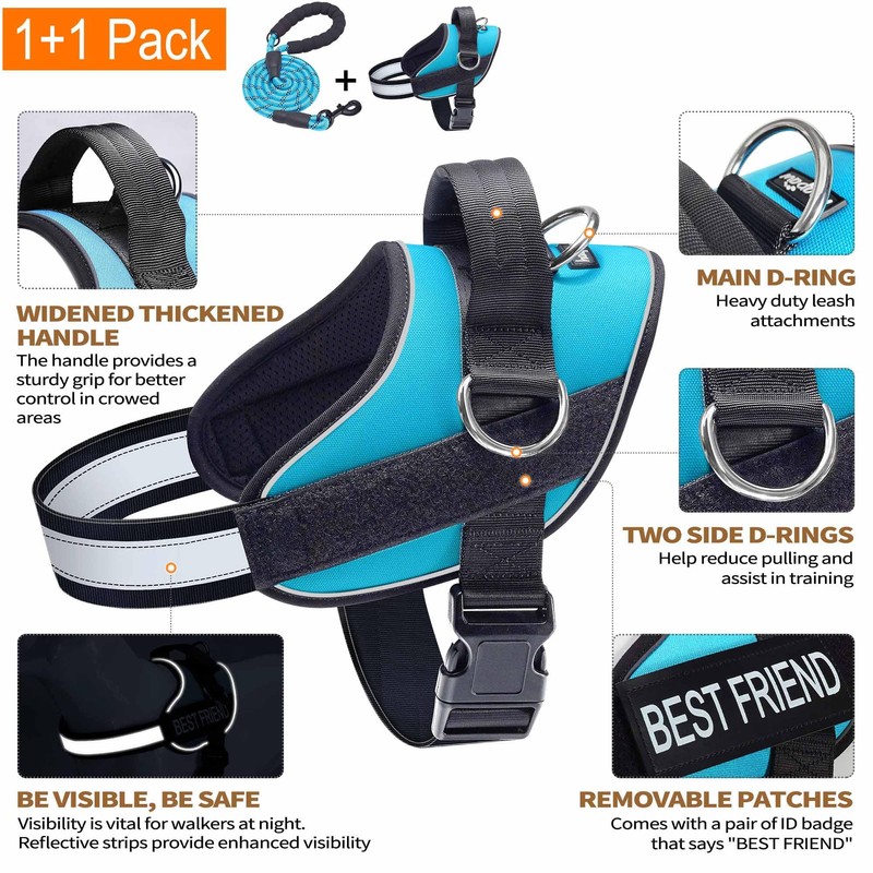Haapaw Essential Dog Harness, No Pull Pet Vest with 3