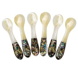 DUEBEL Set of 6 Caviar Spoons with Abalone Handle, 4" Mother of Pearl Spoons for Caviar Serving, Egg Serving, Catering Event Tableware, Restaurant Table Decoration