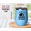 Snowboard Blue Wine Tumbler 12oz - i just want -