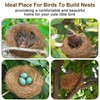 Sukh 2PCS Coconut Fiber for Bird Nest - Canary Nesting