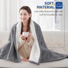 Sealy Electric Blanket Queen Size, Flannel & Sherpa Heated Blanket