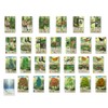 Forest Shuffle Card Game (Japanese Ver.)