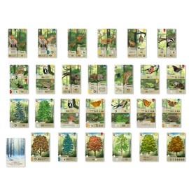 Forest Shuffle Card Game (Japanese Ver.)