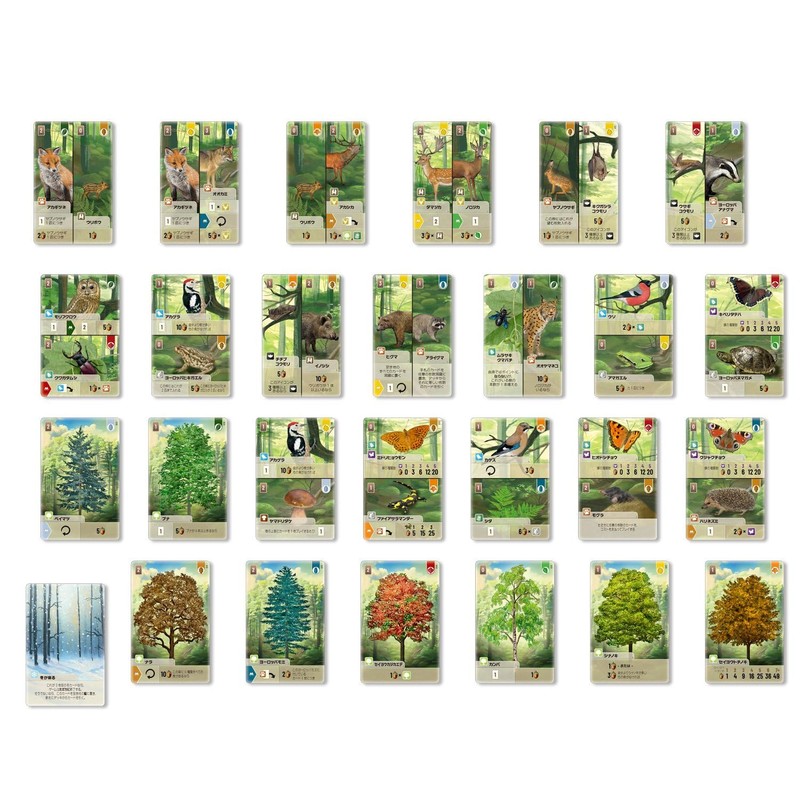 Forest Shuffle Card Game (Japanese Ver.)