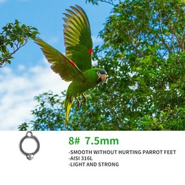 Bird Foot Rings AISI 316L Stainless Steel Bird Harness Outdoor Parrots Leg Ring Outdoor Fly Training Activity Opening Clip Accessories for Parrots(7.5mm)