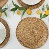 Benson Mills Water Hyacinth Braided Round Placemat Set of 4