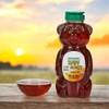 Organic Raw Honey, 2-Pack (72 oz Each – 3 Bottles