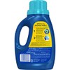 Clorox 2 Laundry Stain Remover and Color Booster, Clean Linen,