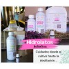 Hidrolato De Manzanilla Alemana