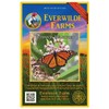 Everwilde Farms - 200 Common Milkweed Native Wildflower Seeds -