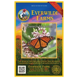Everwilde Farms - 200 Common Milkweed Native Wildflower Seeds - Gold Vault Jumbo Seed Packet