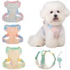 Pechera Arnés para Perros pequeños, Arnés para Perro Ajustable Reflectante