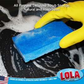 Lola Products Natural Cellulose Scrub Sponges - All Purpose Fiber Scrubber Sponge, Made from Cellulose, Sustainable, Dishwasher Safe and Safe for Non-Stick, 2 Pack