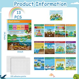 Pajean 13 Pcs Ecosystems Bulletin Board Posters Science Teaching Poster Classroom Decorations for Middle High School Biological Food Web Chain Bulletin Board for Door Wall Decor Educational Supplies