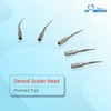 Punta dental mixta P1 * 10 ajuste de escala EMS,