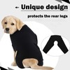 ROZKITCH Dog Pants to Prevent Licking for Rear Right Left