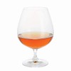 Dartington Crystal ST3180/8 Champagne Flute, Glass