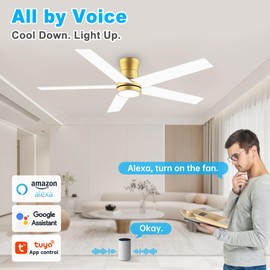 52" Smart Wood Low Profile Ceiling Fan with Lights Remote,Outdoor Indoor Flush Mount Ceiling Fans,Controll by Voice WIFI Alexa App,Quiet DC Motor,Modern Gold White Fan for Bedroom Living Room Patio