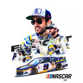chase elliot 8x10 photo Nascar