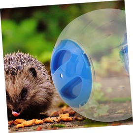 BESPORTBLE 3pcs Pet Hamster Exercise Ball Mini Toys Lightweight Portable for Hamsters Gerbils