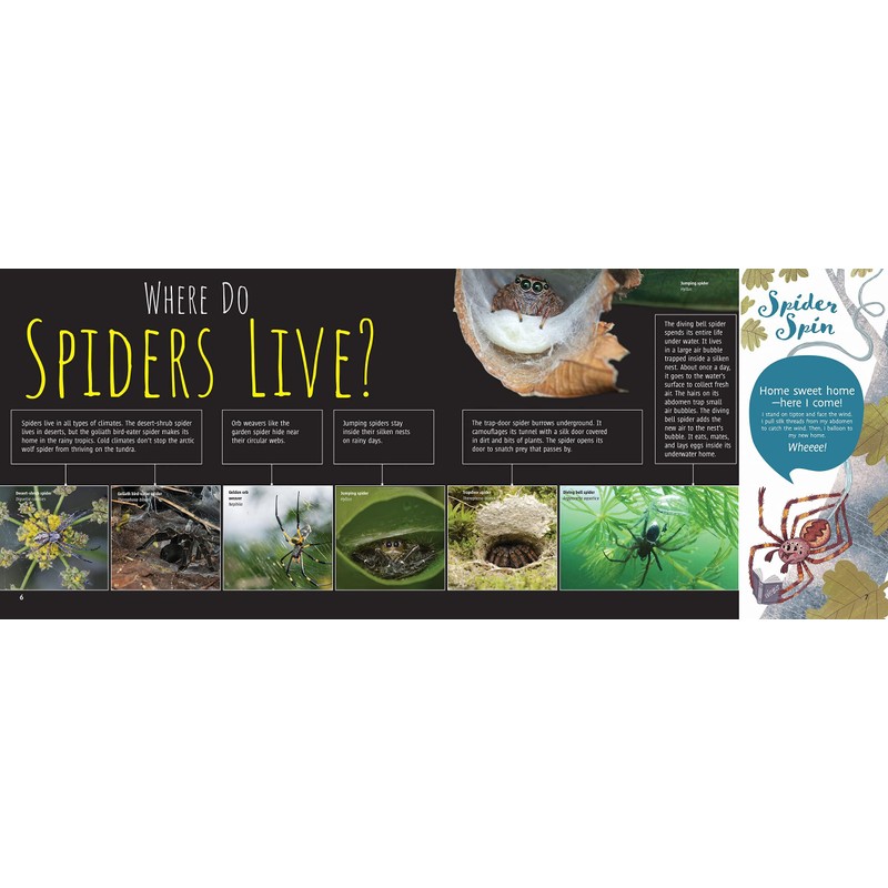 Scurry! The Truth About Spiders| Full of Fun Facts, Photographs,