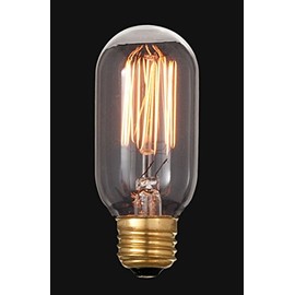 B&P Lamp® Vintage Style Oval Light Bulb