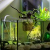 Kisangel 4pcs Aquarium Plant Holder Clear Aquatic Plant Cups with