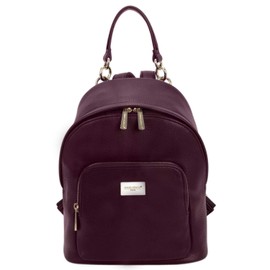 David Jones - Women's Fashion Backpack Purse Small - Ladies Casual Mini Daypack PU Leather - Girl Rucksack Satchel Shoulder Handbag Zipper Pocket Trendy School Bag City College Teenager - Burgundy Red