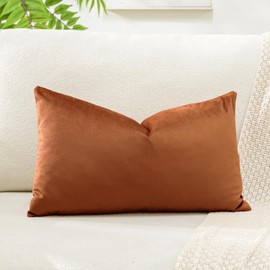 Artscope Luxury Velvet Cushion Covers Super Soft Decorative Rectangle Throw Pillow Covers Case Cushion Covers for Sofa Couch Bedroom Car Decor 40x60cm Orange