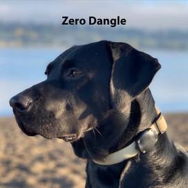 Elevation Lab TagVault AirTag Dog Collar Mount (Single) - IP69 Waterproof, Doesn't Dangle, Fits All Width Collars, Glow in The Dark