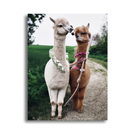 LOMSIOY DIY 5D Diamond Art Kits for Adults, Alpaca Diamond Painting Kits for Beginner, Animal Diamond Art with Round Full Drill Rhinestone Crafts Gem Arts for Home Wall Decor 12x16 inch 13