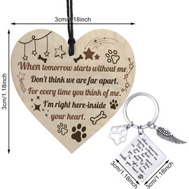 FRIUSATE Dog Memorial Gifts Key Ring Pet Sympathy Gift Dog Remembrance Keychain Loss of Pet Paw Prints Memorial Dog Keyring for Pet Lover