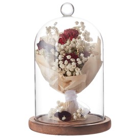 BENECREAT 7x5 Inch Glass Dome Cloche with Wooden Base, Rustic Bell Jar Display Clear Glass Bell Cloche for Plants, Fairy Lights or Table Decor