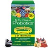 Dr. Ohhira's Probiotics Original Formula 100 Count 3 Year Fermented
