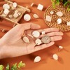 PandaHall 36pcs Wood Stud Earring Findings Teardrop Flat Round Rhombus