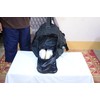 Large Holdall Bag, 35L - Polyester Twill, 6 External Pockets,