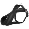 Premium touring harness