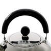 Takagi Stainless Whistle Kettle 2.5L, Made in Japan, Takagi