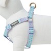 Blueberry Pet Step-in Velvety Polka Dot Flocking Dog Harness in