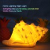 Conch Shell Night Light-Battery Powered LED Night Light for Kids