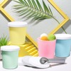 Nuenen 5 Pack Ice Cream Containers 1Qt Freezer Storage Tubs