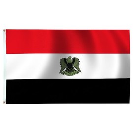 Egypt Flag 4X6 Foot SolarMax Nylon