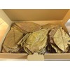 Pack of 100 (300 g) 20-25 cm Indian Almond Leaves