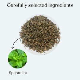 Blendart Spearmint Tea 50 Pyramid Tea Bags Premium Spearmint Leaves 100% Natural Loose Leaf Spearmint Herbal Tea - Refreshing Mint Tea, Pure Plant-Based Ingredients Sugar Free & Caffeine Free